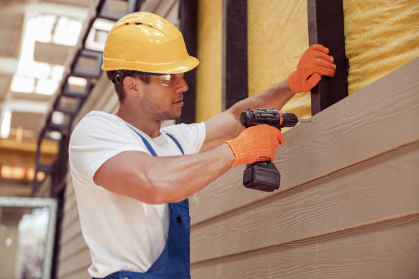 Professional Siding in South Rockwood, MI